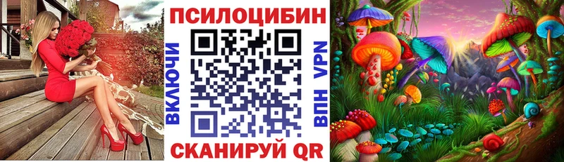 ОМГ ОМГ как зайти  Алзамай  Псилоцибиновые грибы Cubensis 